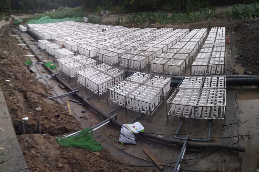 ������������@��ˮ�����Ŀ